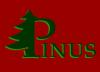 Choinki,dekoracje,kwiaty - PPHU PINUS